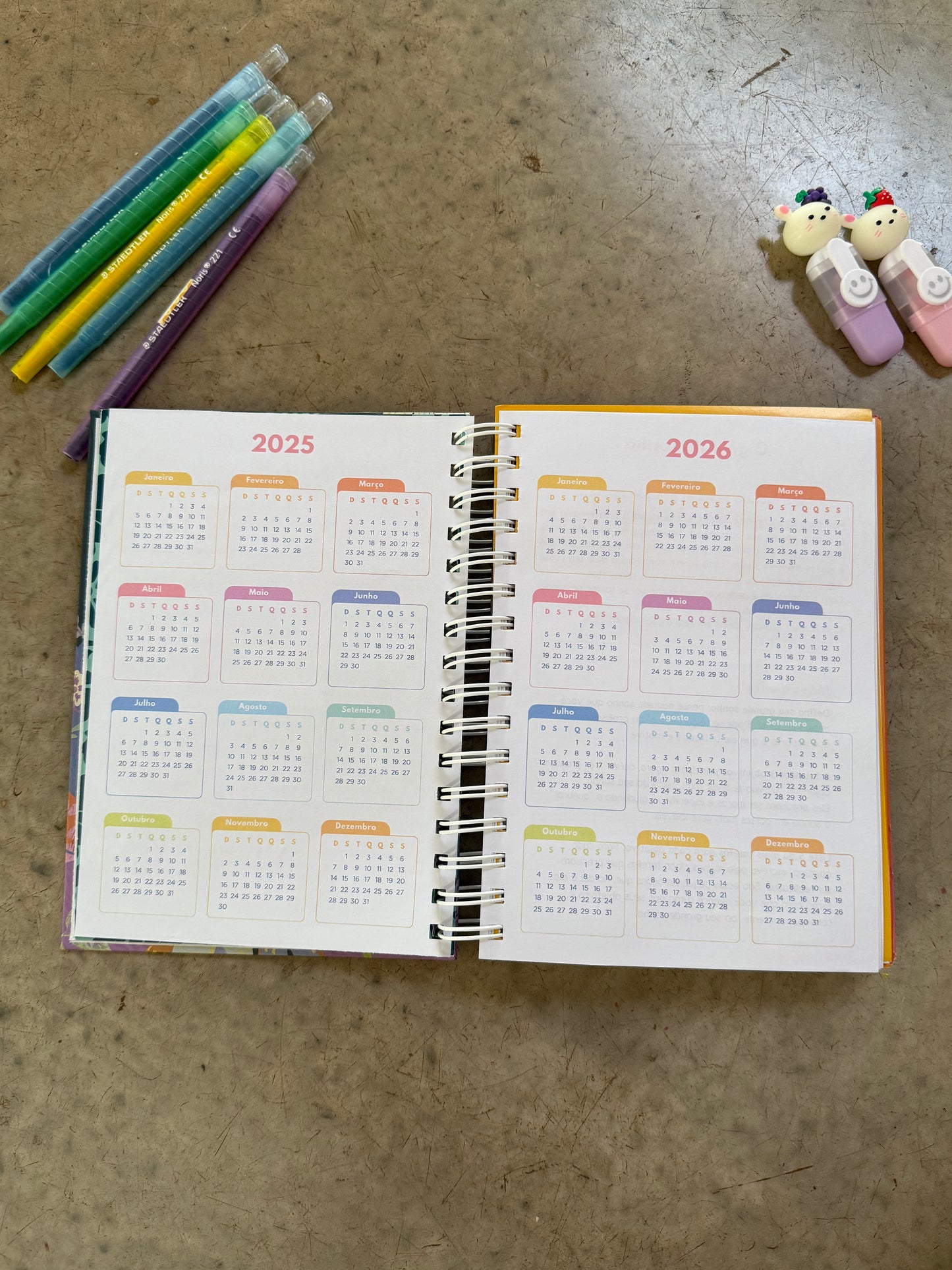 Planner 2025 - Não datado